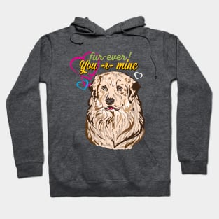 My Cool Labrador Retriever Design Hoodie